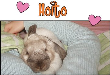 hoito
