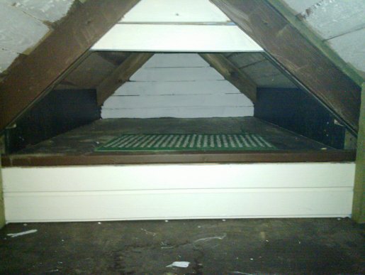 pupula8