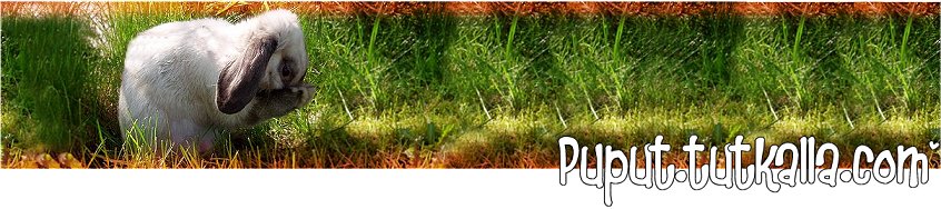 puput.tutkalla.com