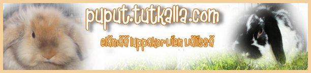 puput.tutkalla.com