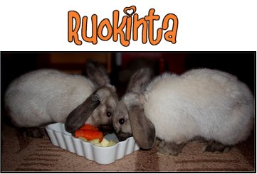 ruokinta
