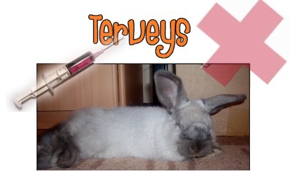 terveys